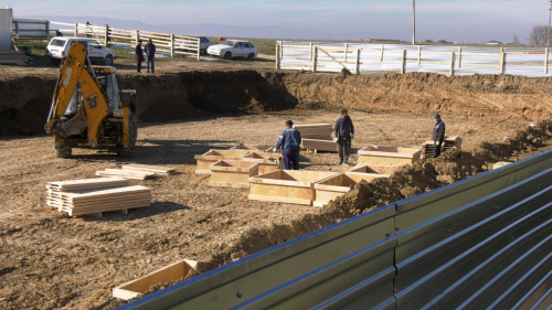 В Дербенте приступили к строительству приюта для бездомных животных