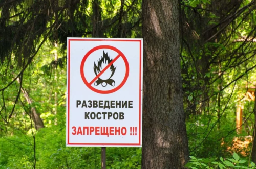 На территории лесопарковой зоны «СОСНОВЫЙ БОР» запрещено разводить костры!