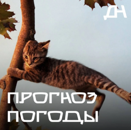 Ухудшение погодных условий ожидается по Республике Дагестан